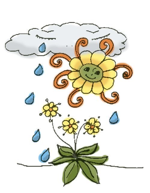 Ilustración - Flores de lluvía